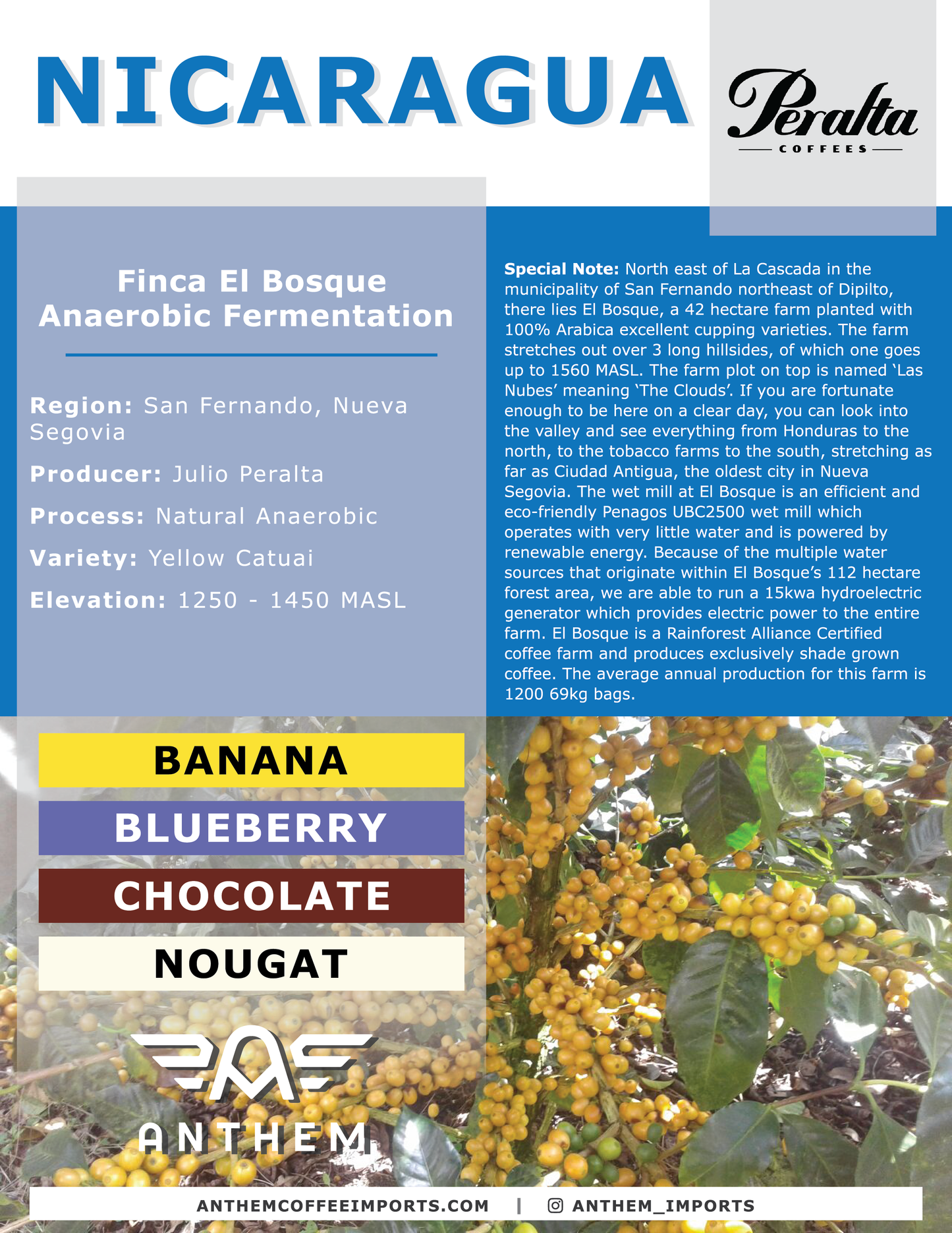 Roaster's Reserve Nicaragua Finca Los Positos (women producers)