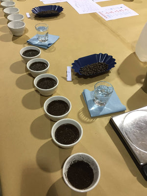 Erie Coffee Roaster's First Public Tasting Coming April 2nd!
