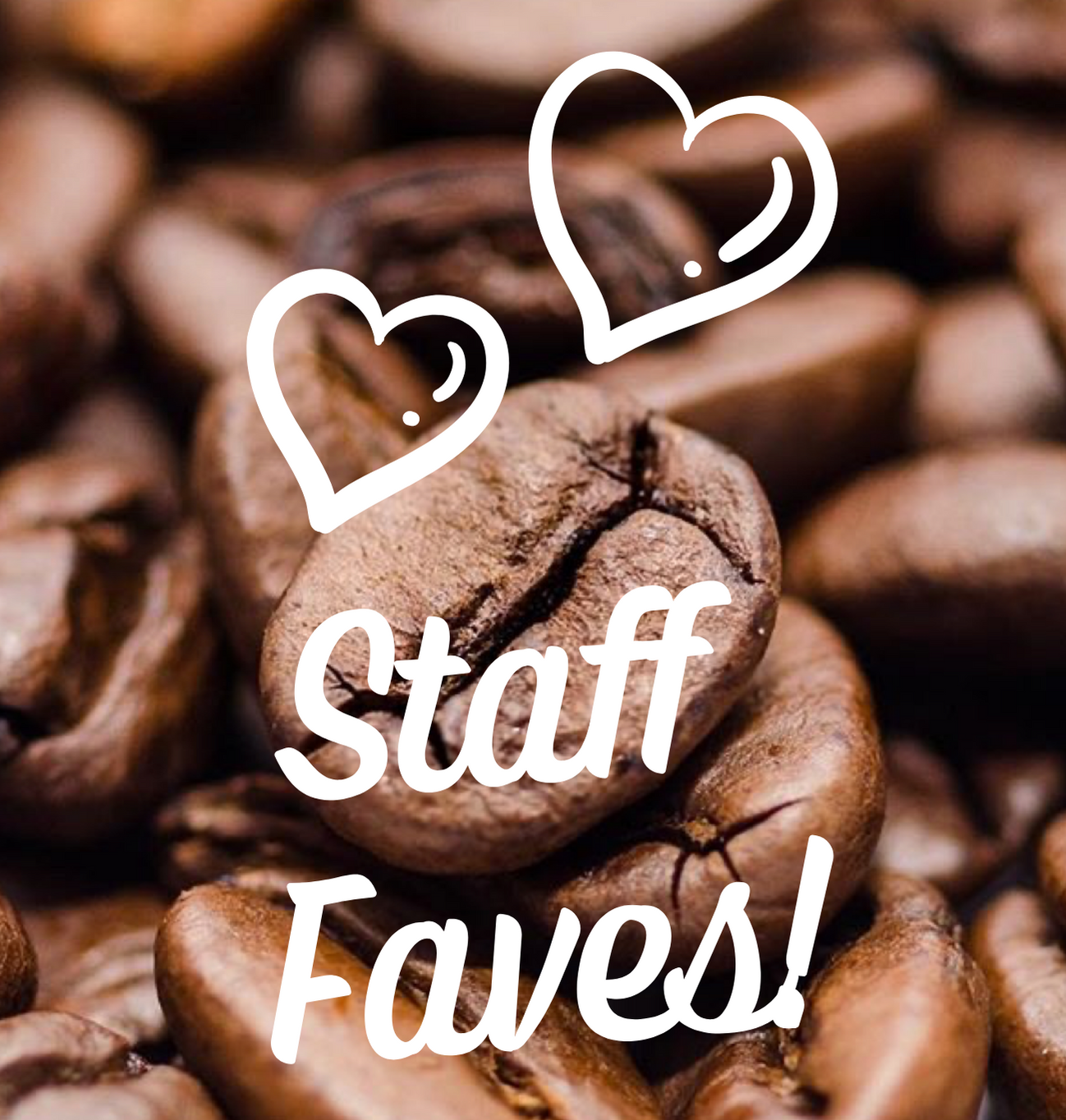 Staff Favorites