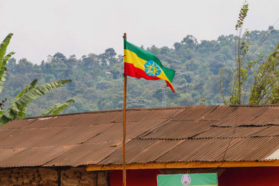 Ethiopia- Washed Sidamo- Light Roast