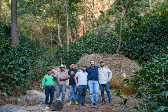 Roaster's Reserve Honduras- Finca Canavera Natural