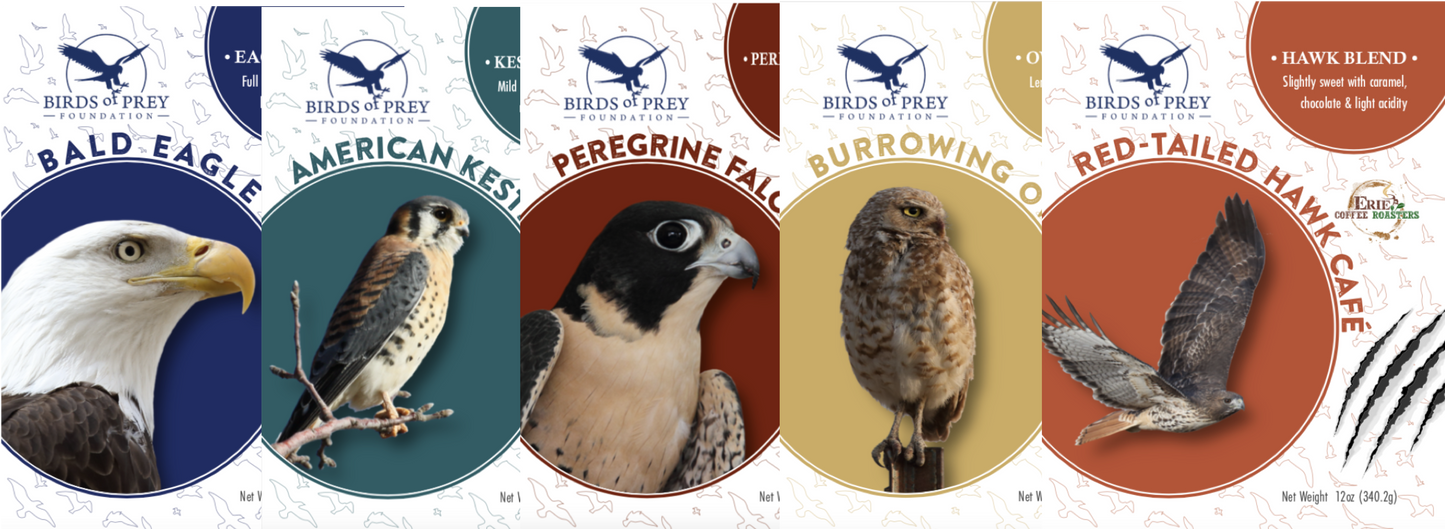 Birds of Prey Foundation: The Raptor Collection
