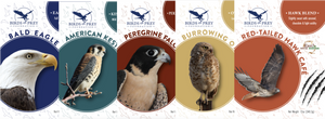 Birds of Prey Foundation: The Raptor Collection