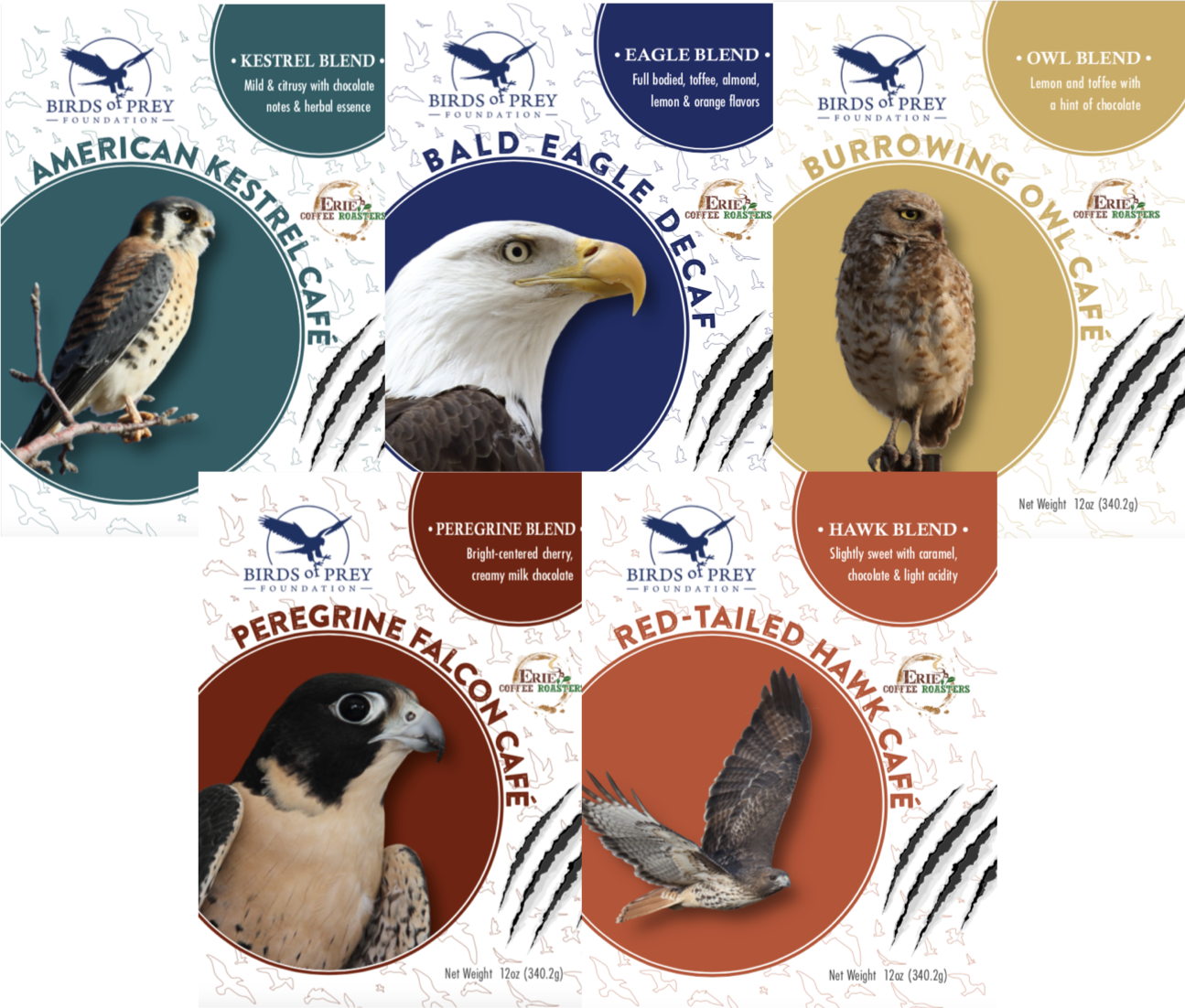 Birds of Prey Foundation: The Raptor Collection