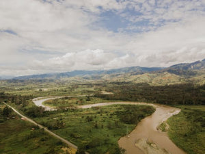 Papua New Guinea - Kunjin - Light Roast