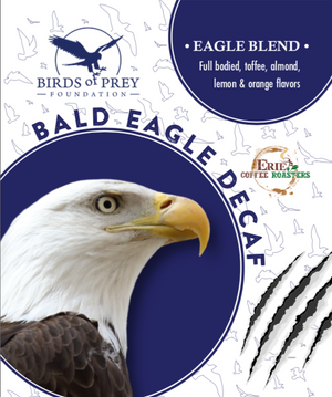 Birds of Prey Foundation: Bald Eagle Decaf