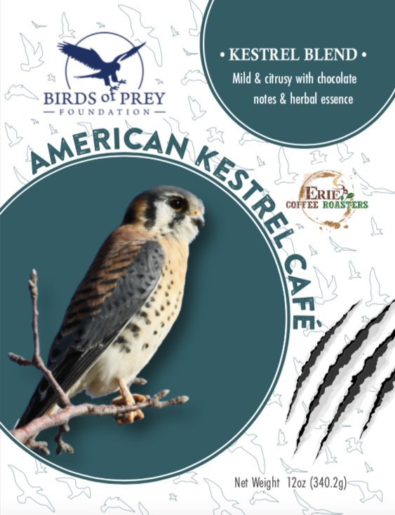 Birds of Prey Foundation: The Raptor Collection