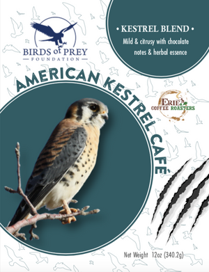 Birds of Prey Foundation: The Raptor Collection