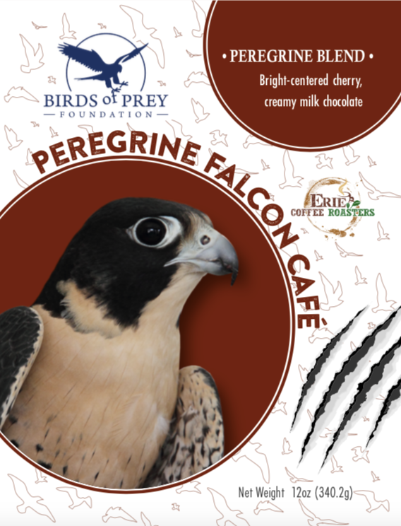 Birds of Prey Foundation: The Raptor Collection