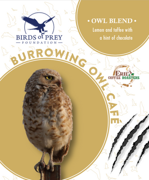 Birds of Prey Foundation: Burrowing Owl Blend
