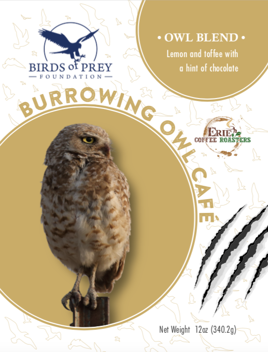 Birds of Prey Foundation: The Raptor Collection