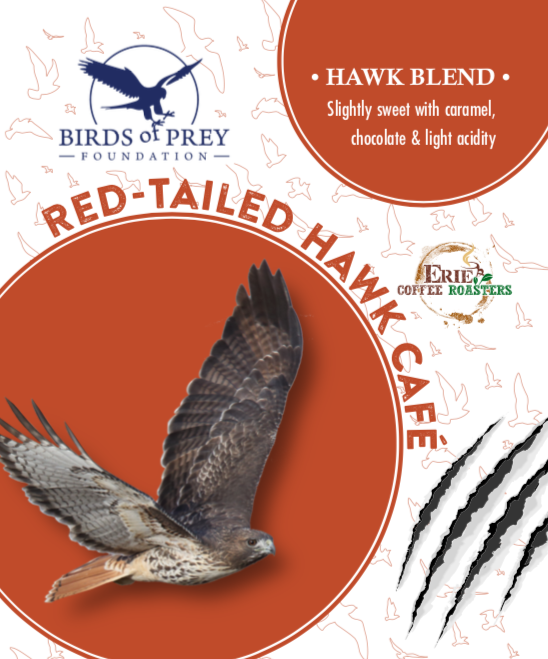 Birds of Prey Foundation: Red-Tailed Hawk Blend