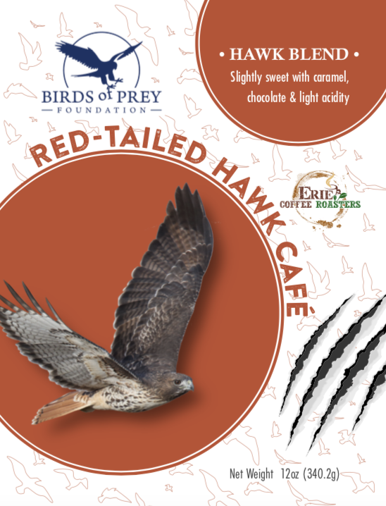 Birds of Prey Foundation: The Raptor Collection