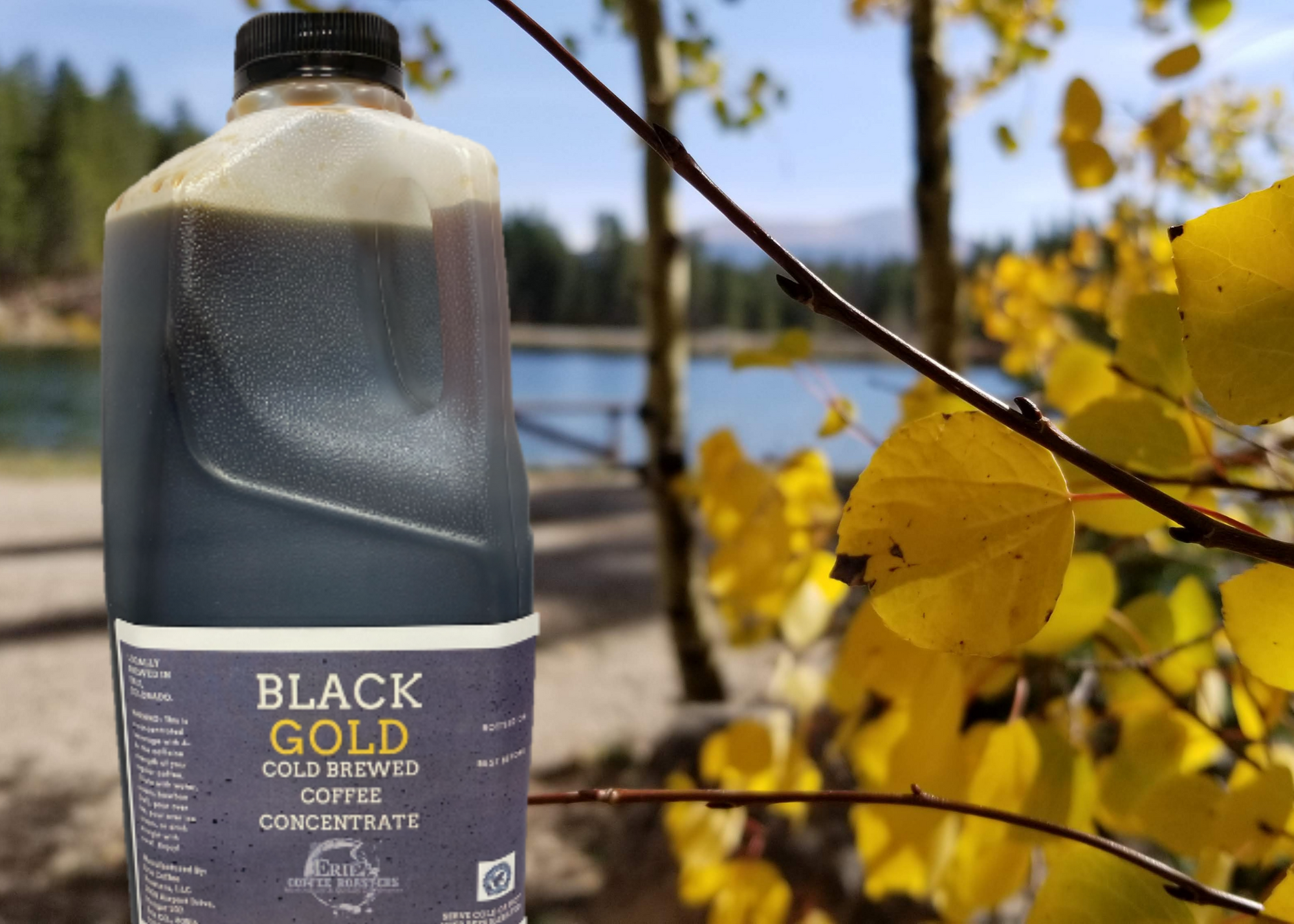 Cold Brew Coffee Concentrate